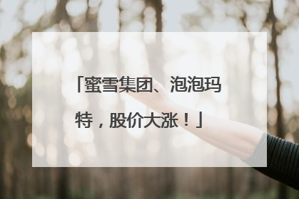 蜜雪集团、泡泡玛特，股价大涨！