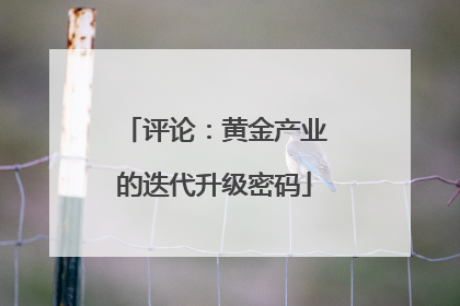 评论：黄金产业的迭代升级密码