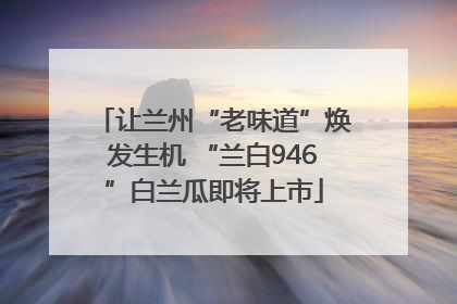 让兰州“老味道”焕发生机 “兰白946”白兰瓜即将上市