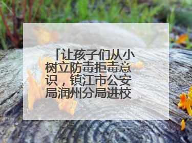 让孩子们从小树立防毒拒毒意识，镇江市公安局润州分局进校展开禁毒宣传