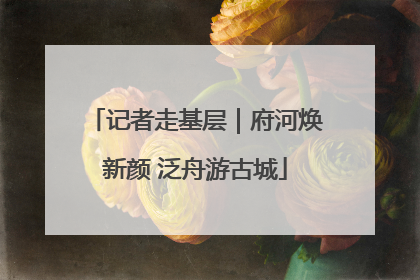 记者走基层｜府河焕新颜 泛舟游古城