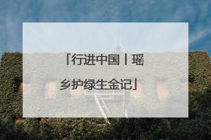 行进中国丨瑶乡护绿生金记