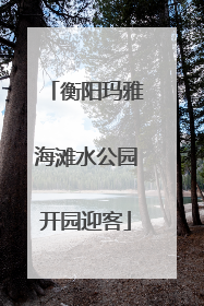 衡阳玛雅海滩水公园开园迎客