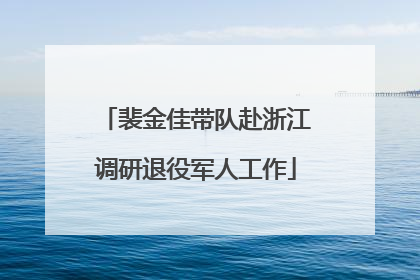 裴金佳带队赴浙江调研退役军人工作