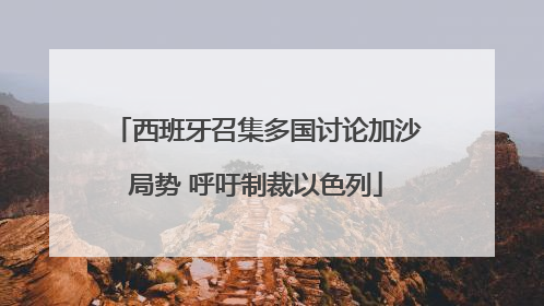 西班牙召集多国讨论加沙局势 呼吁制裁以色列