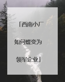 西南小厂如何蝶变为领军企业