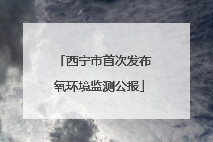 西宁市首次发布氧环境监测公报