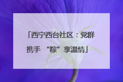 西宁西台社区：党群携手 “粽”享温情