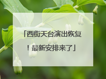 西街天台演出恢复！最新安排来了