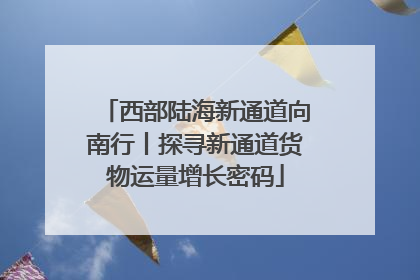 西部陆海新通道向南行丨探寻新通道货物运量增长密码