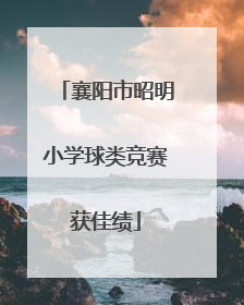 襄阳市昭明小学球类竞赛获佳绩