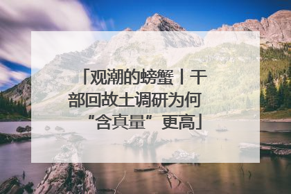 观潮的螃蟹丨干部回故土调研为何“含真量”更高