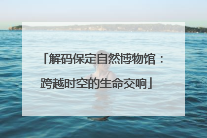 解码保定自然博物馆：跨越时空的生命交响