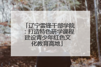 辽宁雷锋干部学院：打造特色研学课程 建设青少年红色文化教育高地