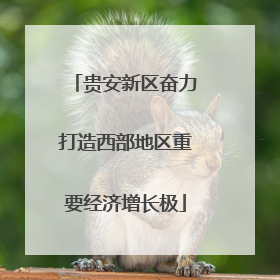 贵安新区奋力打造西部地区重要经济增长极
