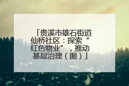 贵溪市雄石街道仙桥社区：探索“红色物业”，推动基层治理（图）