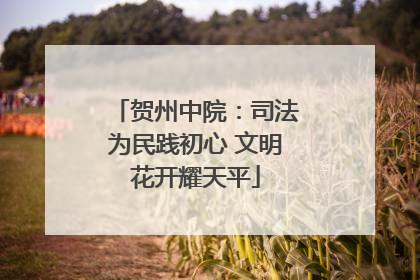 贺州中院：司法为民践初心 文明花开耀天平