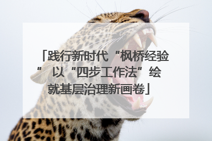 践行新时代“枫桥经验” 以“四步工作法”绘就基层治理新画卷