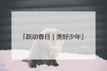 跃动春日｜美好少年