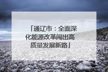 通辽市：全面深化能源改革闯出高质量发展新路