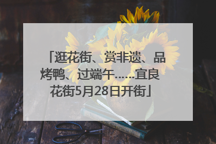 逛花街、赏非遗、品烤鸭、过端午……宜良花街5月28日开街