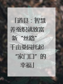 道县：智慧养蚕织就致富新“丝路” 千亩桑园托起“家门口”的幸福