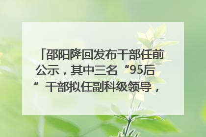 邵阳隆回发布干部任前公示，其中三名“95后”干部拟任副科级领导，均系硕士选调生