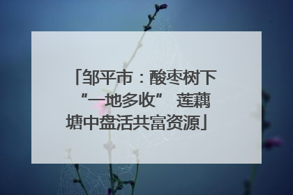 邹平市：酸枣树下“一地多收” 莲藕塘中盘活共富资源