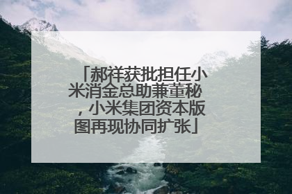 郝祥获批担任小米消金总助兼董秘，小米集团资本版图再现协同扩张