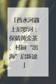 酉水河遇上尼罗河：保靖黄金茶、村厨“出海”启新途