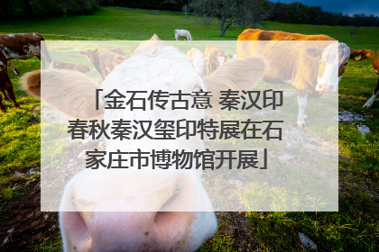 金石传古意 秦汉印春秋秦汉玺印特展在石家庄市博物馆开展