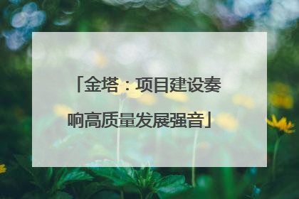 金塔：项目建设奏响高质量发展强音