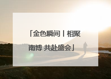金色瞬间丨相聚南博 共赴盛会