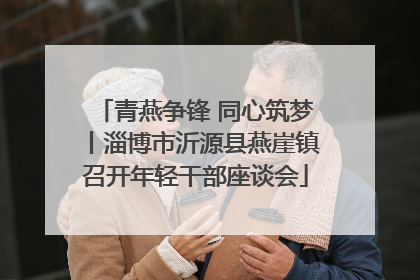 青燕争锋 同心筑梦丨淄博市沂源县燕崖镇召开年轻干部座谈会