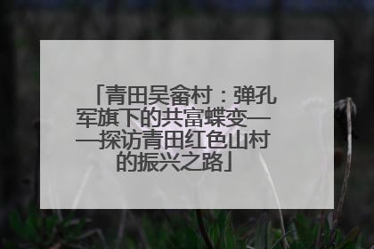 青田吴畲村：弹孔军旗下的共富蝶变——探访青田红色山村的振兴之路