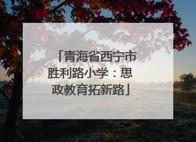 青海省西宁市胜利路小学：思政教育拓新路