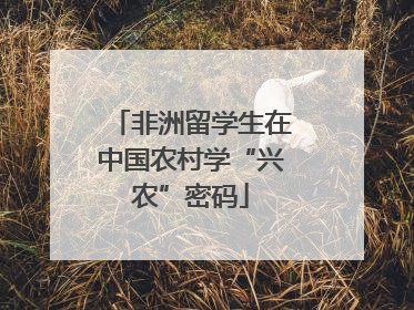 非洲留学生在中国农村学“兴农”密码