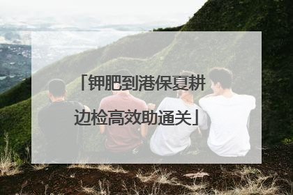 钾肥到港保夏耕 边检高效助通关