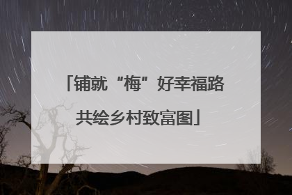 铺就“梅”好幸福路 共绘乡村致富图