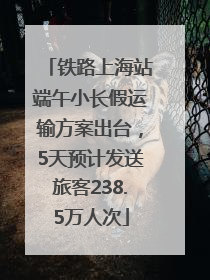 铁路上海站端午小长假运输方案出台，5天预计发送旅客238.5万人次