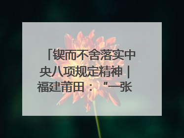 锲而不舍落实中央八项规定精神｜福建莆田：“一张表”“一张图”为基层减轻“数字负担”