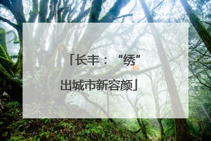 长丰：“绣”出城市新容颜