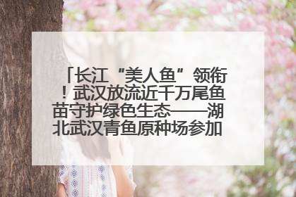 长江“美人鱼”领衔！武汉放流近千万尾鱼苗守护绿色生态——湖北武汉青鱼原种场参加2025年“全国放鱼日”增殖放流活动