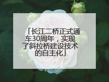 长江二桥正式通车30周年，实现了斜拉桥建设技术的自主化