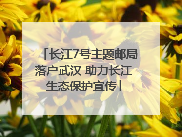 长江7号主题邮局落户武汉 助力长江生态保护宣传