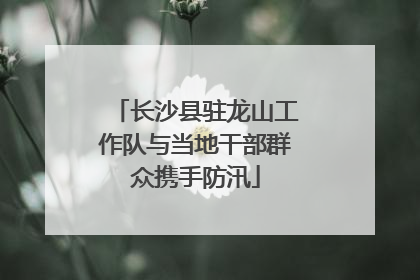 长沙县驻龙山工作队与当地干部群众携手防汛