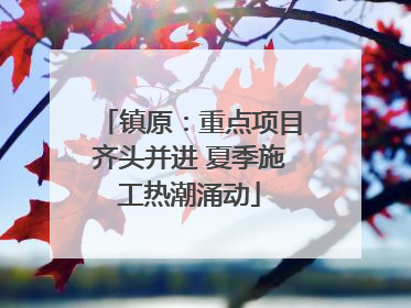 镇原：重点项目齐头并进 夏季施工热潮涌动