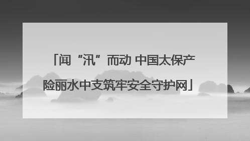 闻“汛”而动 中国太保产险丽水中支筑牢安全守护网