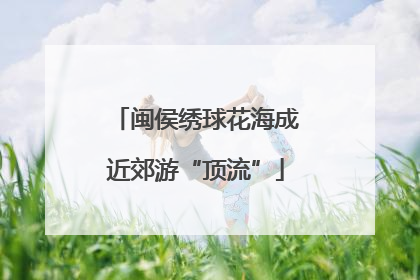 闽侯绣球花海成近郊游“顶流”