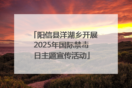 阳信县洋湖乡开展2025年国际禁毒日主题宣传活动